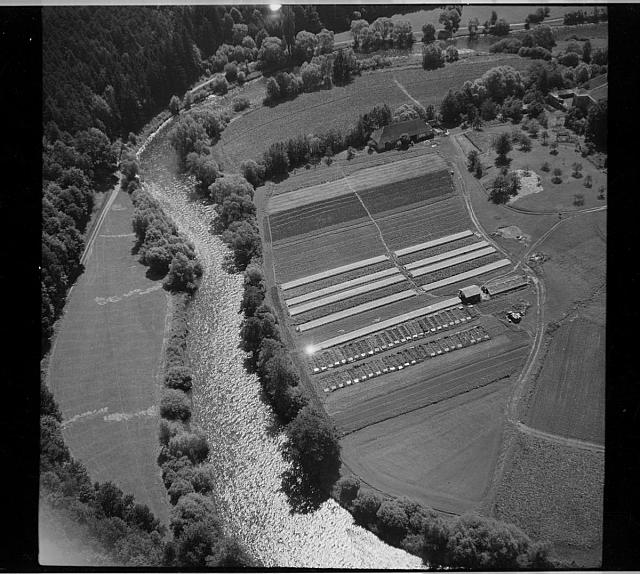 Zlatá Koruna, - Zahradnictví u řeky pod klášterem v roce 1963  Na obálce: 11 zřicenina (škrtnuto), + Zlatá Koruna určil Jindřich Špinar Prachatice,letecký snímek