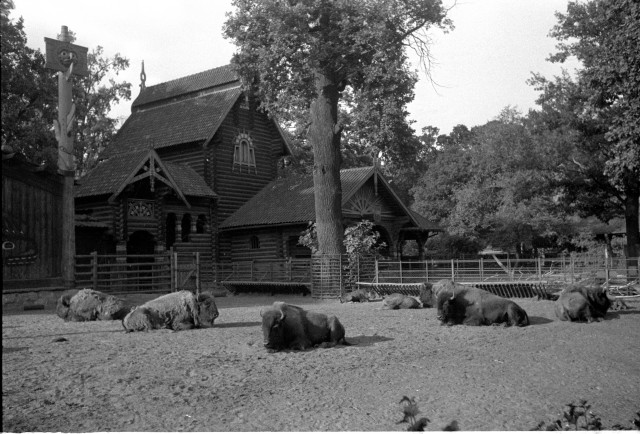 Návštěva ZOO v Berlíně 1936   Německo,Berlín,zoo,zubr