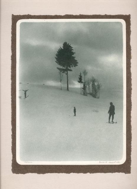 zimní krajina s lyžařem  24x33cm bromolej,krajina,sport,umělecká fotografie,strom