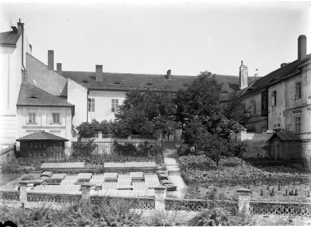 Stará botanická zahrada, před 1891