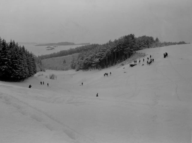 Lyžařské závody   Lyžařské závody  Tábor,lyžař,závody,sport,zima