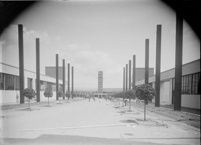 Stavba výstaviště 1929   Tábor,stavba,výstava