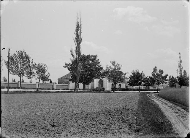 Židovský hřbitov   židovský hřbitov,Tábor