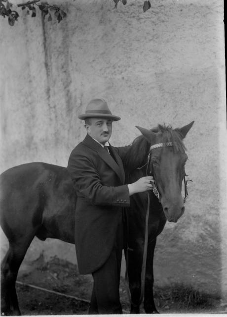 Bauer   Bauer,kůň