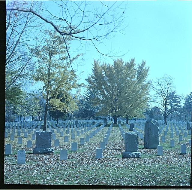 vojenský hřbitov   usa