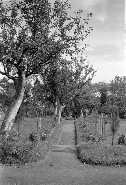 Letohrád. Pelhřimov Msg. P. Vaňka (in Czech), keywords: garden, landscape, Monsignor Vaňek film 1 garden, landscape, Monsignor Vaňek
