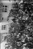 81. - Slavnost před domem Alfonse Šťastného z Padařova (in Czech), keywords: dům Alfonse Štastného z Padařova, parade, Edvard Beneš