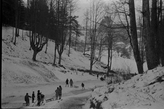 Zimní sporty ve Struhách (in Czech), keywords: Tábor, Struhy, skier, sáně, sport  Tábor, Struhy, skier, sáně, sport
