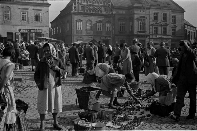trh na náměstí (in Czech), keywords: trh na náměstí  trh na náměstí