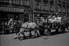 Průvod v Táboře (in Czech), keywords: sokol, Tábor, festival, garb, parade, horse