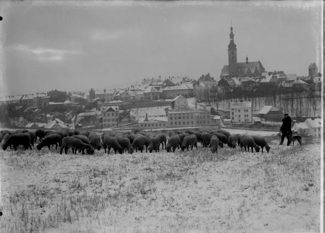 Pohled na Tábor z Bezručovy ulice (in Czech), keywords: Tábor, whole, sheeps, winter  Tábor, whole, sheeps, winter