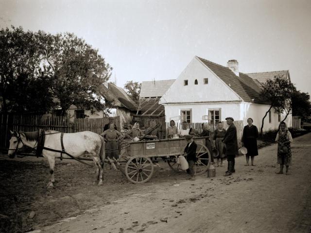 Karel Pěchota nákup mléka v Turovci 1925 (in Czech), keywords: village, horse, Turovec, Karel Pěchota