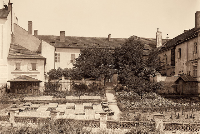 Old botanic garden at Agricultural School, before 1891