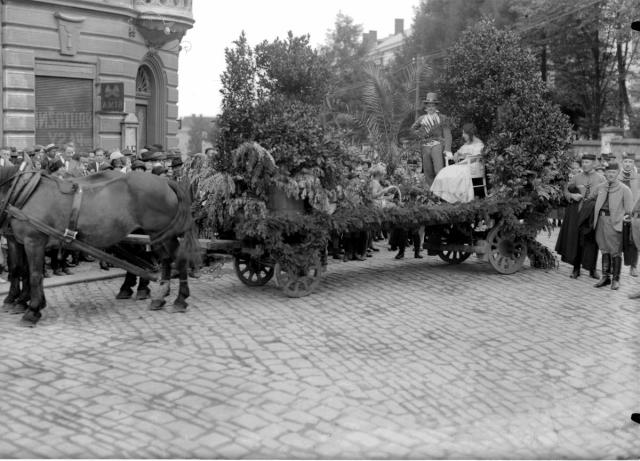 Sokolská a živnostenská slavnost 1925 (in Czech), keywords: Tábor, festival, Sokol, tradesman (Czech) Převrátit Tábor, festival, Sokol, tradesman