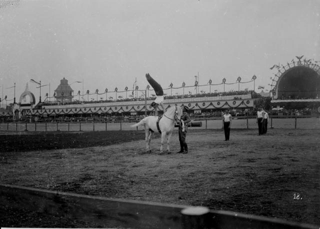 Exercises with a Live Horse at Sokol Meet in Prague, 1901 (Czech) Ze IV. Sleto všesokolského v Praze. 29. 30. června, 1. července 1901 (ce... Sokol, meeting, Prague, Letná, reportage, sport, excercise