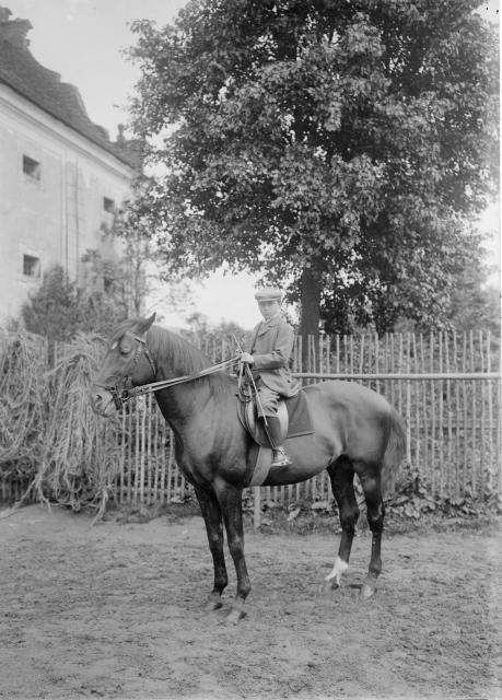 Chlapec na koni (in Czech), keywords: figure, horse  figure, horse
