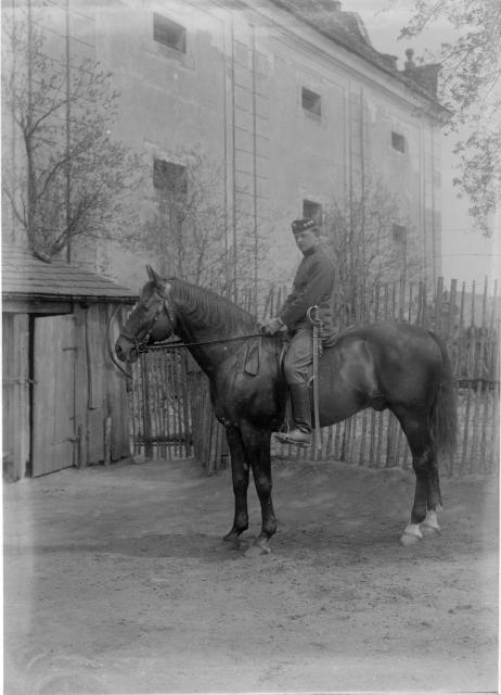 Pšelerák (in Czech), keywords: horse (Czech) fotografie hřebčáků tzv. " pšeleráků", což byli zaměstnanci státních hře... horse