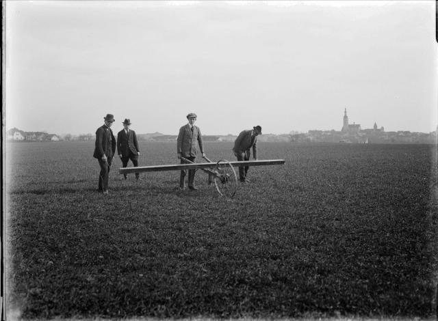 Clover seed being direct drilled into pasture, 1920s. The clover seed is so small that only a very small box is needed to hold it.  Th... zemědělství, field, secí stroj