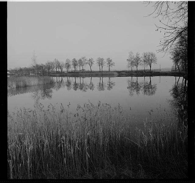 rybník (in Czech), keywords: pond (Czech) na obálce Rybníky,tolik rozlité vody,v Soběslavi Lužnice,rybář pond