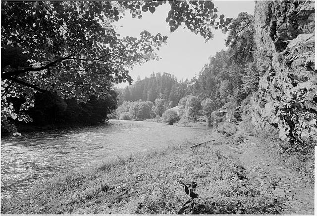 Lužnice (in Czech), keywords: Lužnice, river  Lužnice, river