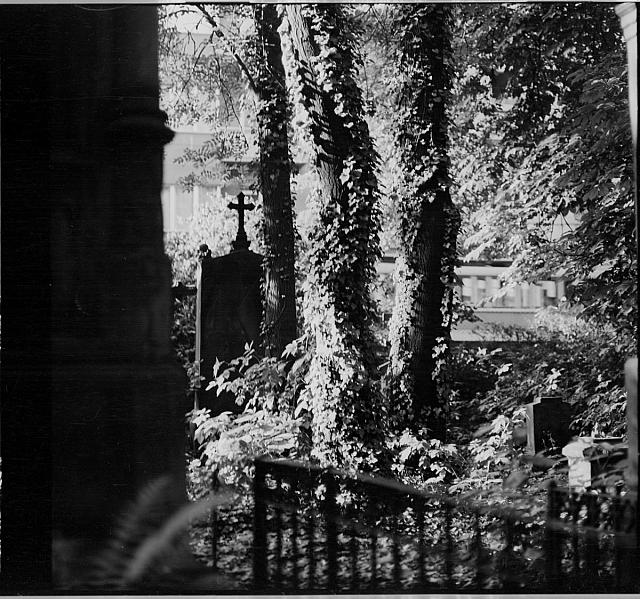 Malostranský hřbitov (in Czech), keywords: Prague (Czech) na obálce hřbitovy Židovský,Malostranský Prague
